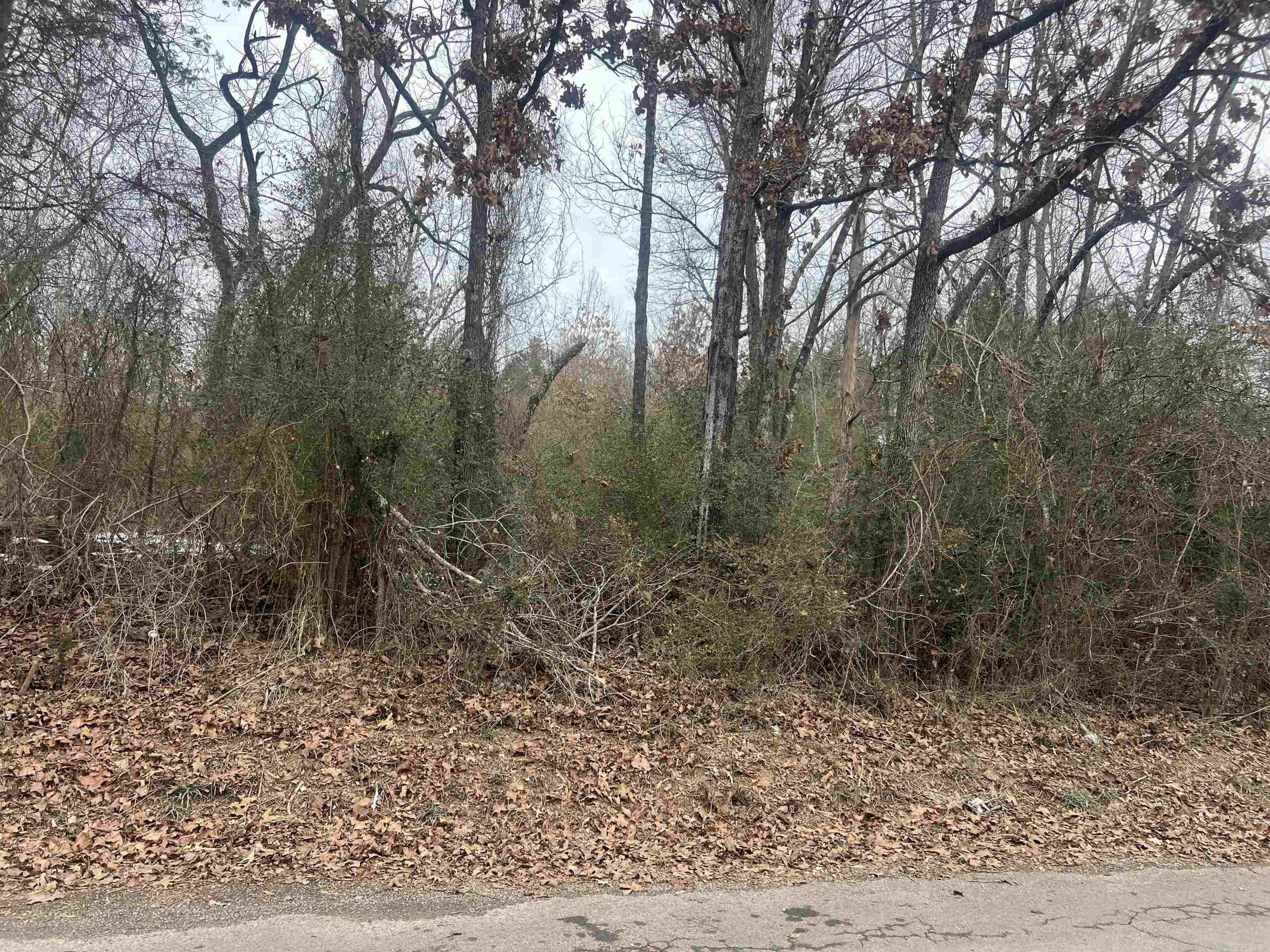 Residential Land in Austin, AR