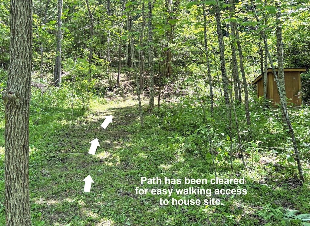 Picture 17