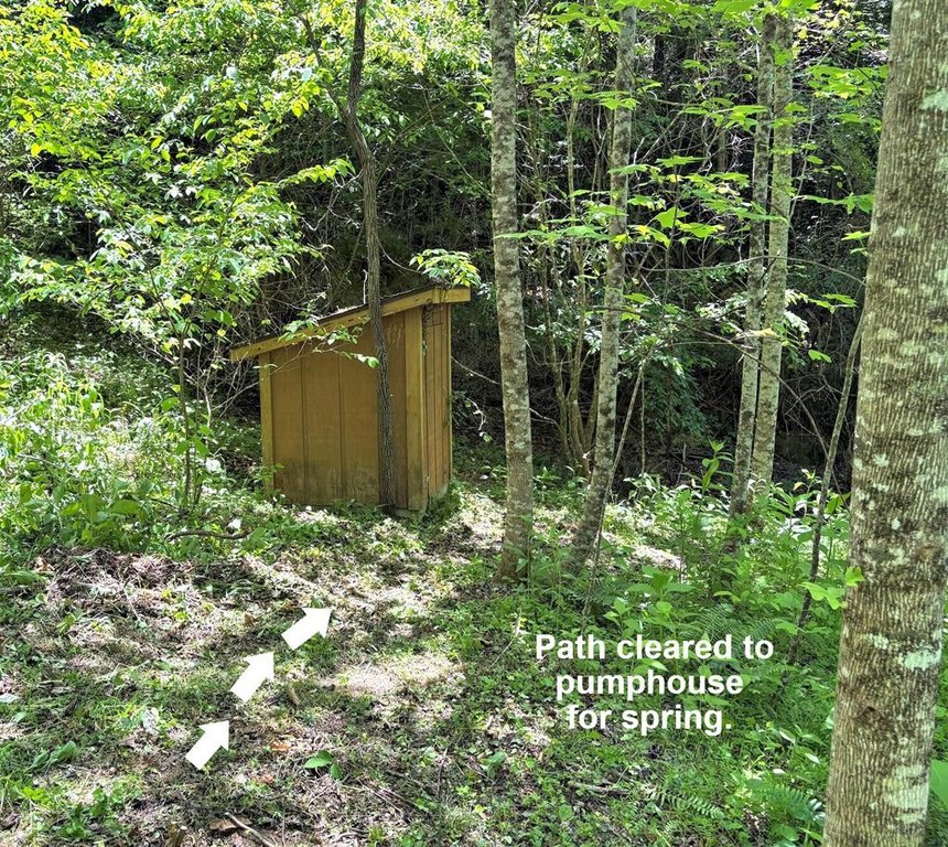 Picture 18