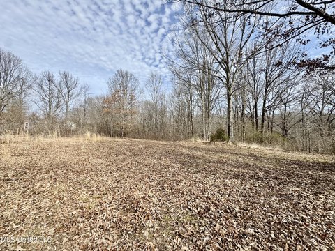 Land in Coldwater, Mississippi