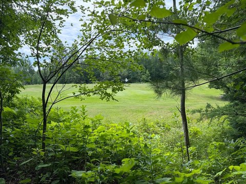 LAND - Mercer, WI