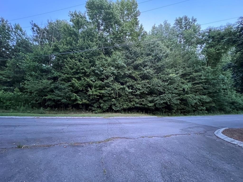 Picture 10