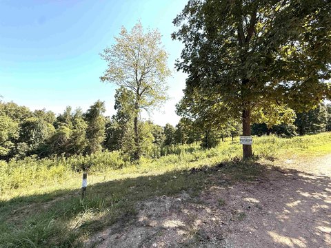 Vacant Land, Mountain View, AR