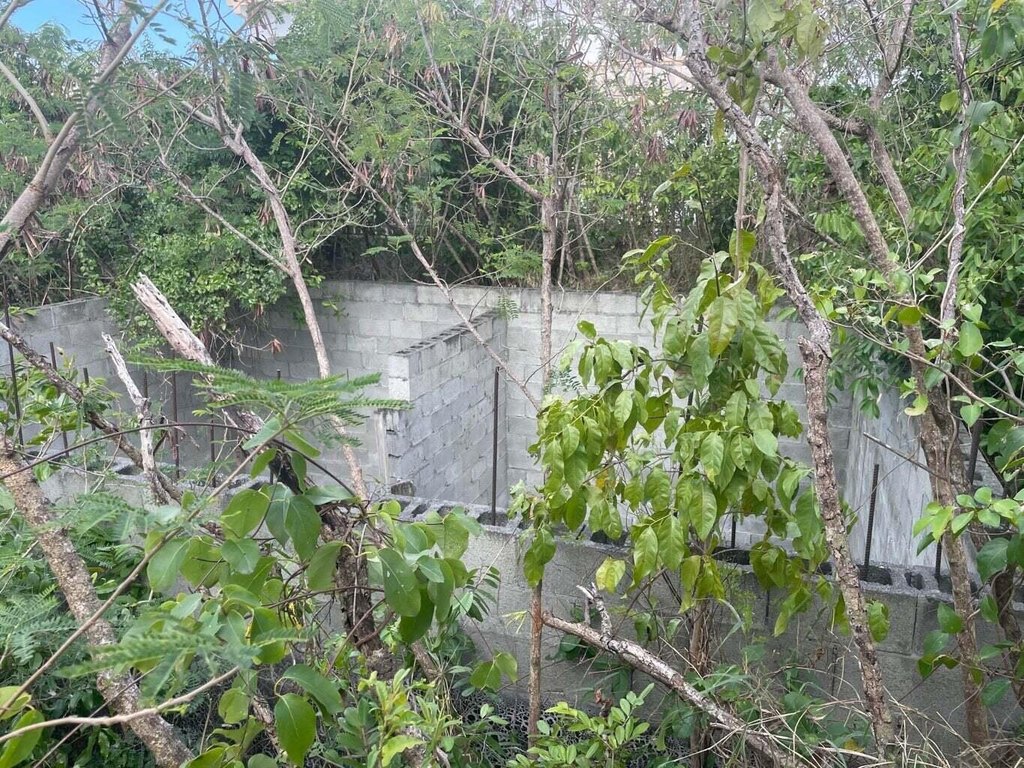 Picture 4