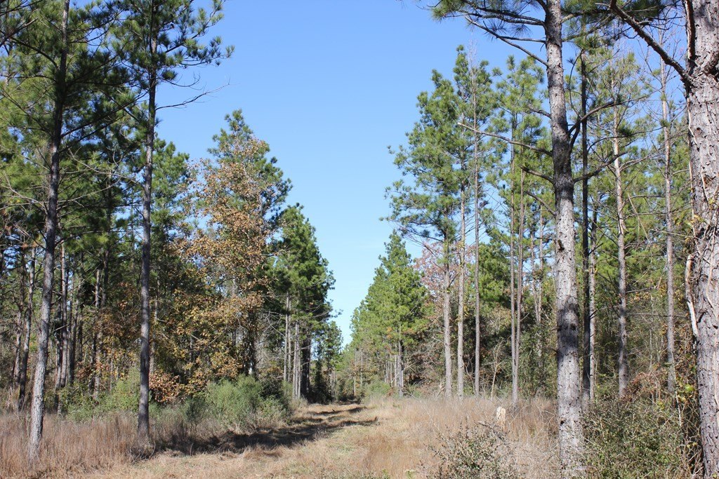 Picture 16