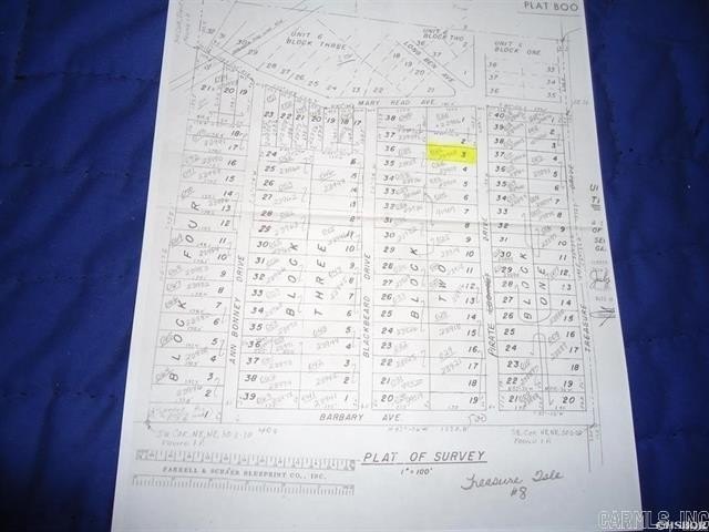 Picture 3