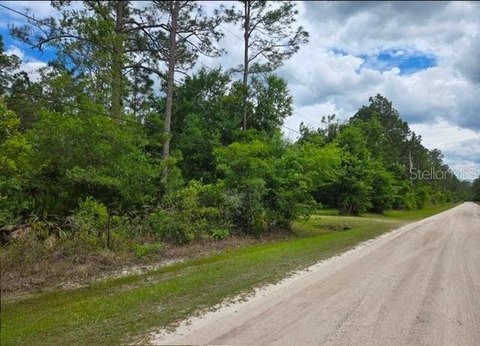 Buildable Residential Lot Acreage