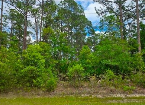 Buildable Residential Lot Acreage