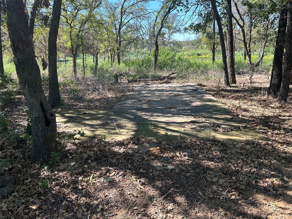 Picture 28