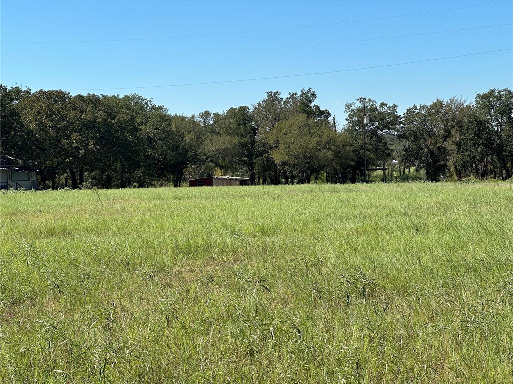 Picture 24