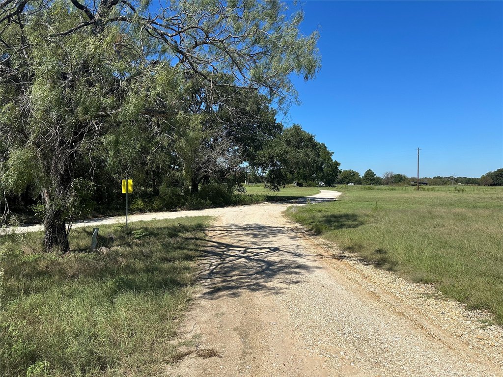 Picture 25