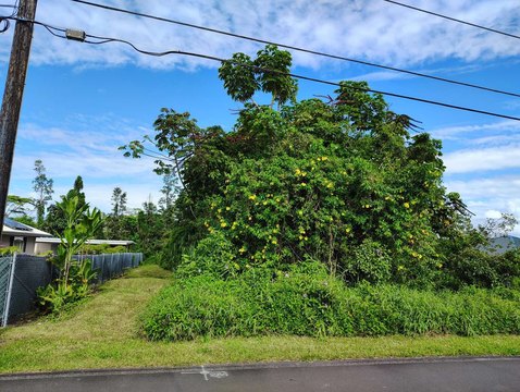 Land, Pahoa, HI