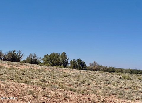 LAND - Heber, AZ