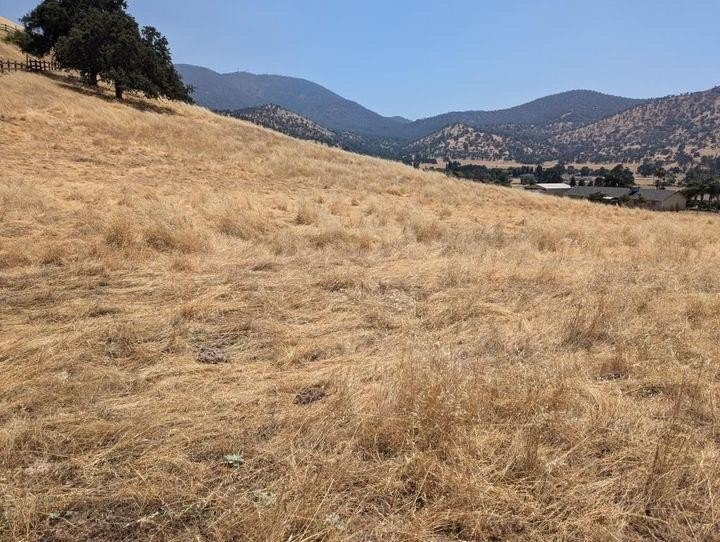Residential Land in Wonder Valley