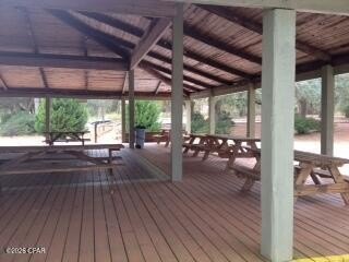 Picture 11