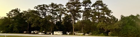 Land, Trenton, NC