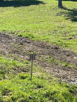 Buckhannon Land with Views