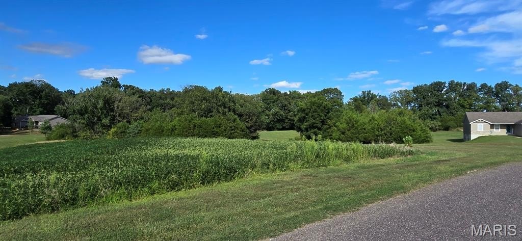 Residential Lot in Clayton Meadows