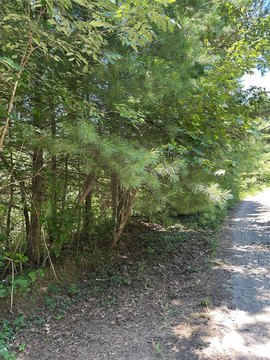 LAND - Morganton, NC