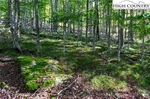LAND - Beech Mountain, NC