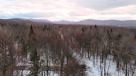 33 Acres in Brandon, NY