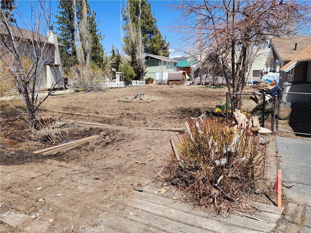 Picture 6