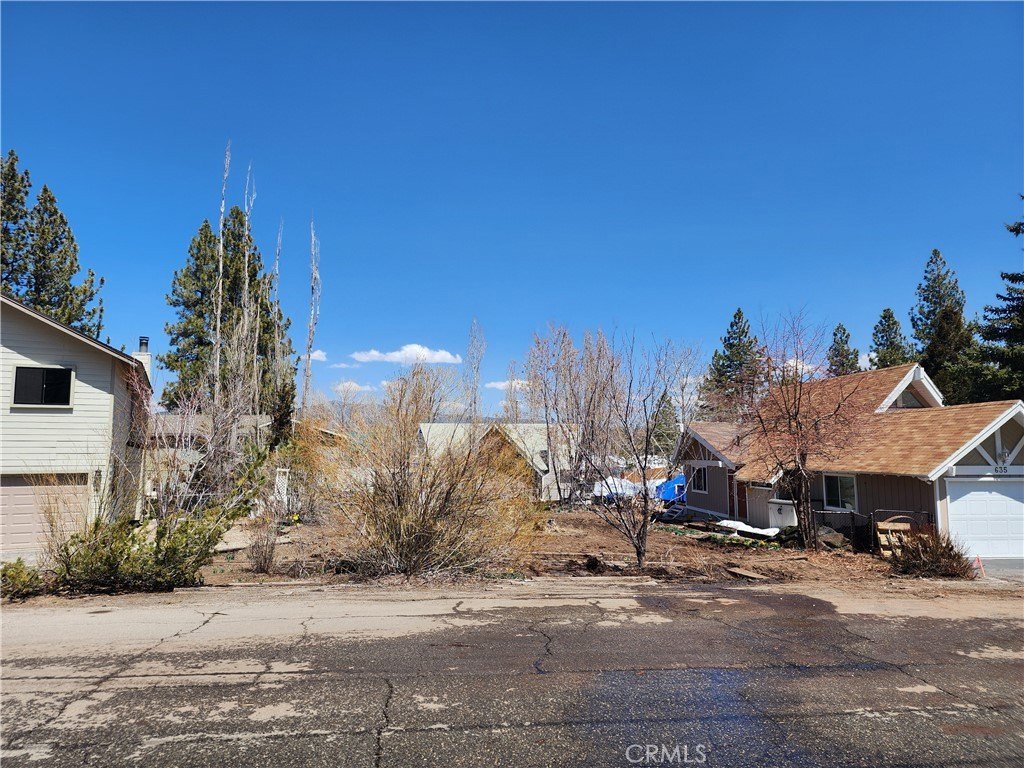 Picture 15