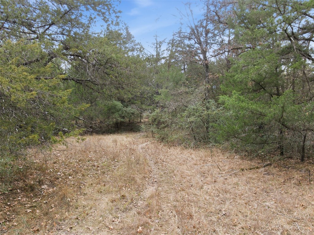 Picture 12