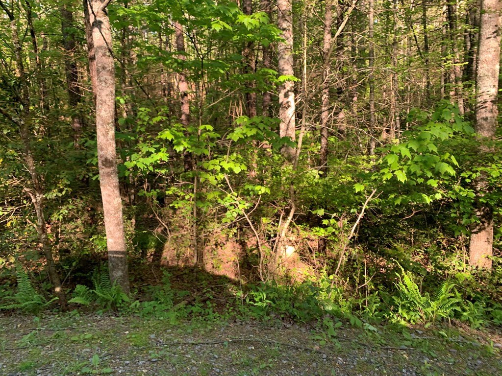 Picture 16