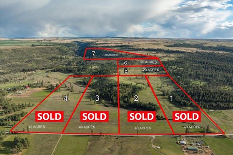 Land Parcel Near Reardan, WA