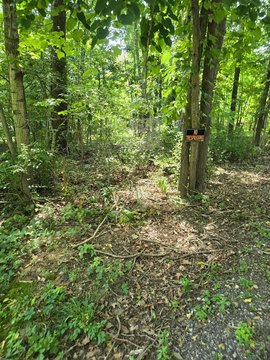 Land, Powell, OH