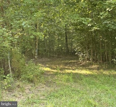 Land, NEWBURG, MD