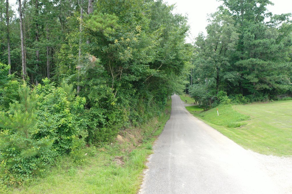 Picture 13