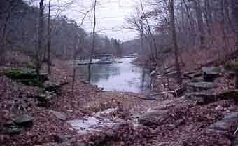 Land Near Beaver Lake