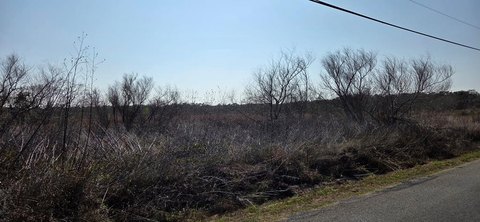 Wooded Acre in Rockport, TX