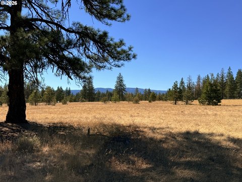 LAND - Goldendale, WA