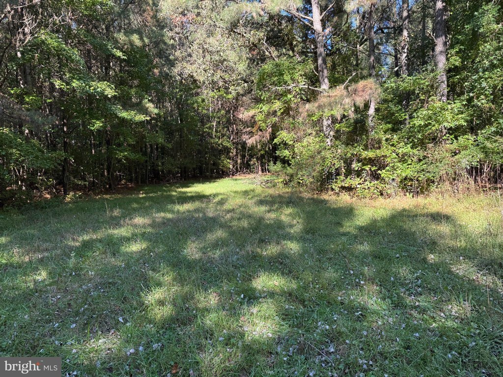 Picture 18