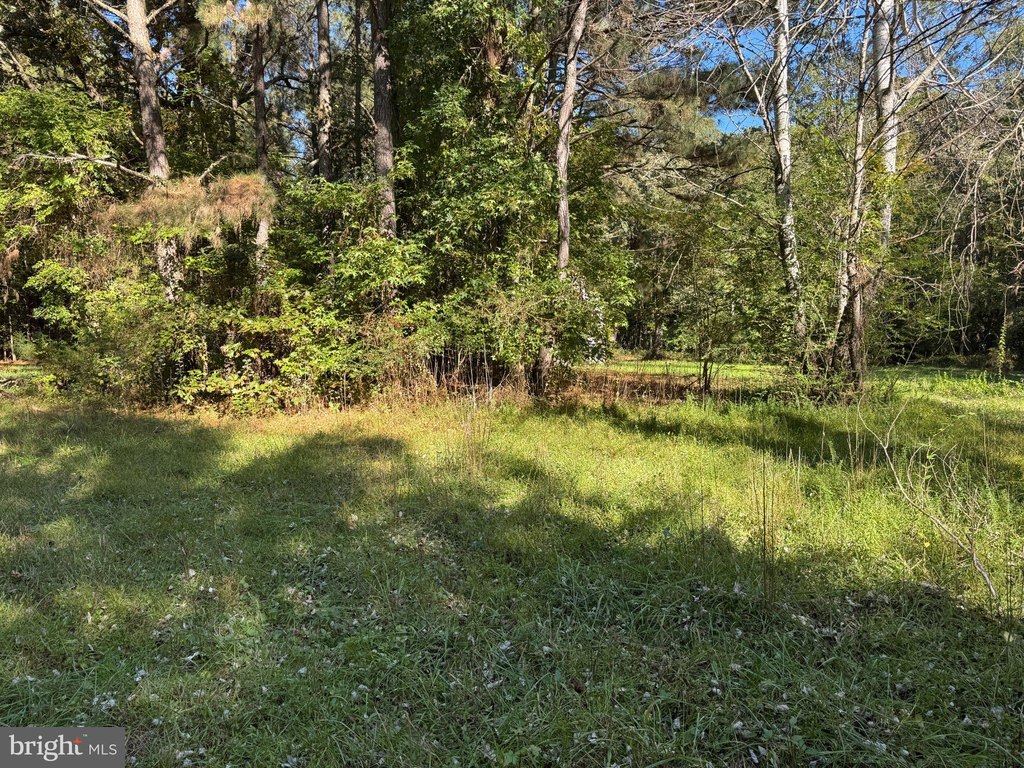 Picture 19