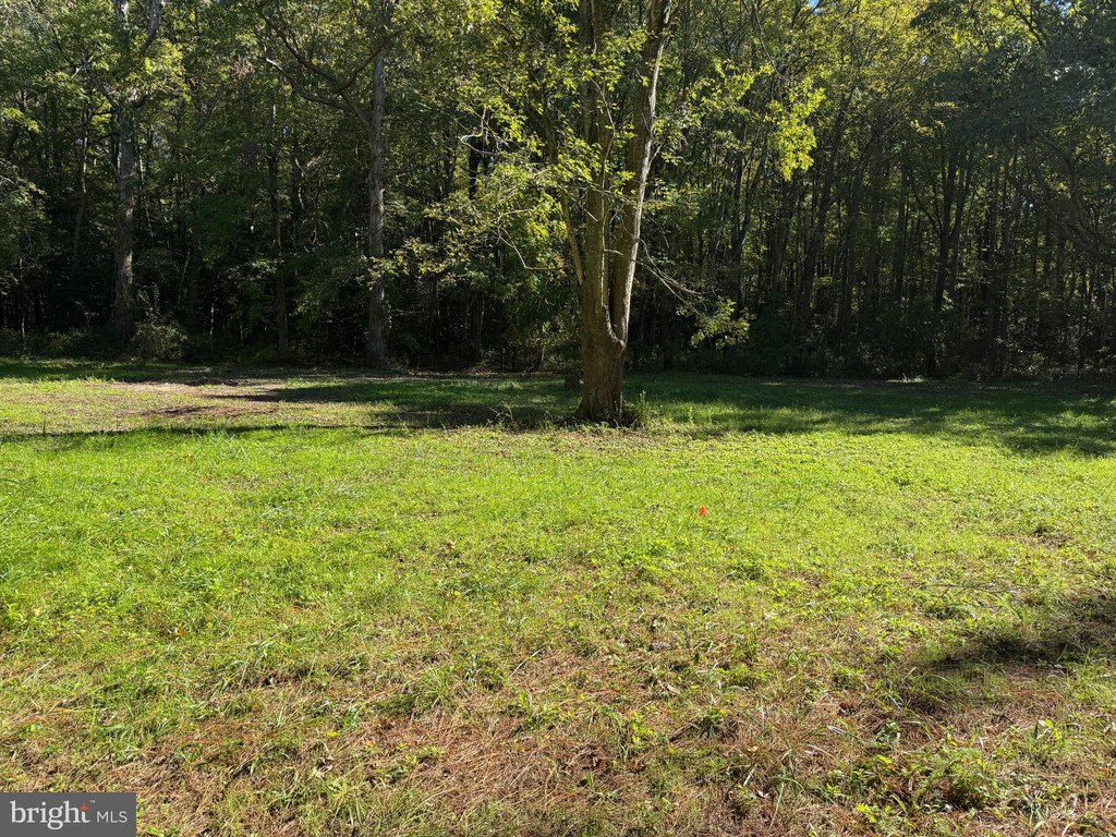Picture 25