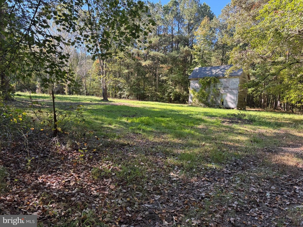 Picture 6