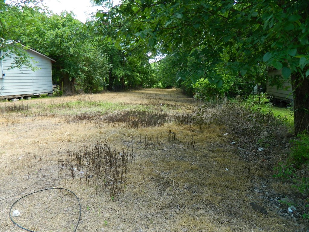 Picture 3