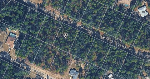 LAND - DUNNELLON, FL