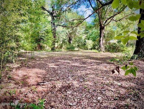 Ocean Springs Acreage Near Seashore