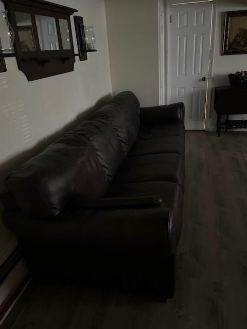 Picture 25
