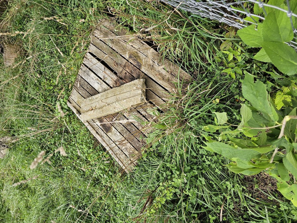 Picture 11