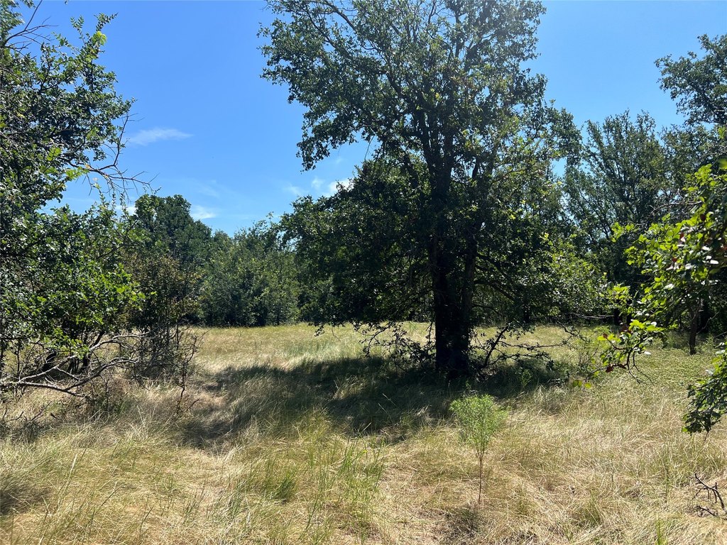 Picture 21