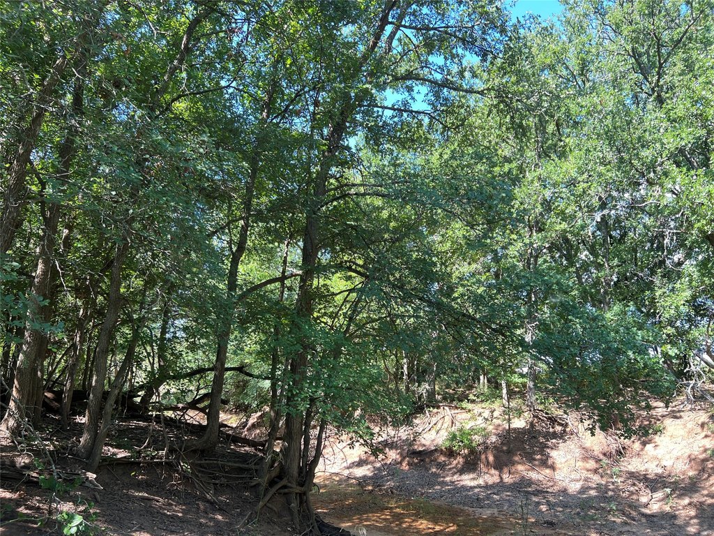 Picture 16
