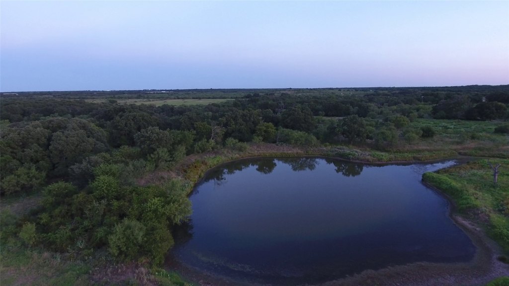 Picture 25