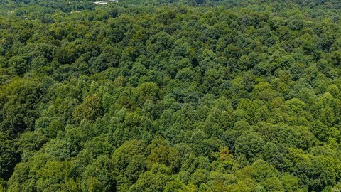 Residential Land - Cannelton, IN