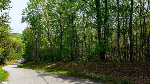 Residential Land in Taylors, SC